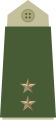 Norvegijos leitenantas (norv. løytnant)***