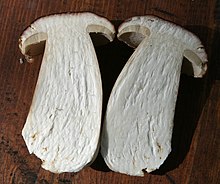 Both halves of a thick-stemmed bisected mushroom.