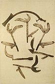 Zande throwing knives, 19th century
