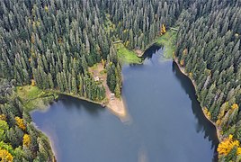 Lac Synevyr.