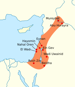 Mureybet es troba a l'extrem nord de la zona de la cultura natufiana (12000 a 9500 aC), no gaire lluny de Tell Abu Hureyra