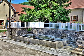 Le lavoir-abreuvoir.