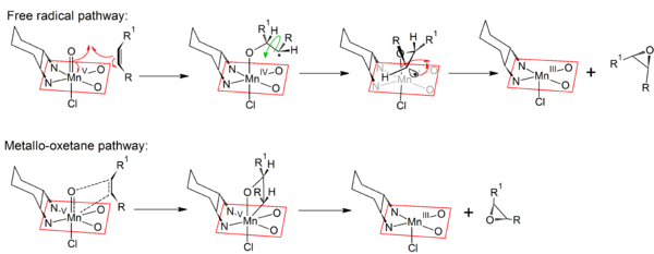 Mechanisms of the free-radical and metallo-oxetane pathways of the Jacobsen-Katsuki reaction