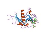 1sl4: Estrutura cristalina do dominio de recoñecemento de carbohidratos DC-SIGN en complexo con Man4
