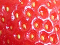 Closeup of the surface of a strawberry