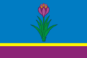 Flagget til Mozdok