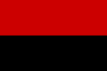 Flag of the Ukrainian Insurgent Army