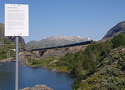 Klevagjeldsbrua på Bergensbanen, med et passerende tog.