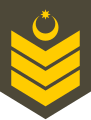 Baş çavuş (Azerbaijani Land Forces)[10]
