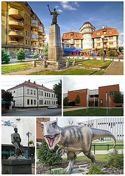 Svilajnac- collage of image (Mara Resavkinja square, High School, Natural History Center Svilajnac, Stevan Sinđelić monument, Statue of a tyrannosaurus in a natural history center)