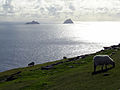 Skelligs