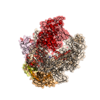 T. aquaticus RNA polymerase core (PDB: 1HQM​).