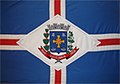 Bandeira de Luiziânia