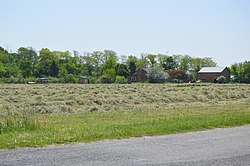 Hay field on Benschoter Road