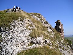 Kamenický hrad (Slovensko)