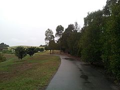 Sydney Park.