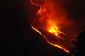 Image 32A wildfire in Venezuela during a drought (from Wildfire)