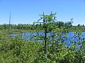 A la Barbotte Lake,[10] source of Gendron Creek, Laurentians, access by Route des Prairies