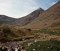 Carrauntoohil