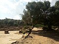 Ruines Romaines Tipaza.