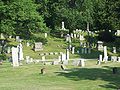 Cold Springs Cemetery, June 2009