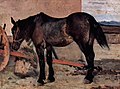 Giovanni Fattori, Tired old horse, (about 1885) Italy