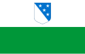 Bandeira do condado de Condado de Valga Valgamaa