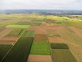 Agriculture intensive, région de Louvain-Hageland (nord de la Belgique, près de l'aéroport de Bruxelles-Zaventem (2012).