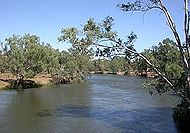 El riu Murray a Austràlia.