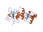 1t2u: اساس ساختاری شناسایی فسفوپپتید توسط دومین بی‌آرسی‌تی در پروتئین BRCA1: ساختار جهش بدمعنی ژن BRCA1 از گونهٔ V1809F