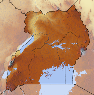 Albertsee (Uganda)