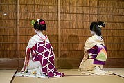 Differences between maiko and geisha from back