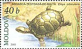 Европейская болотная черепаха на марке Молдовы 2005 года