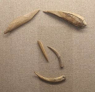 骨牙器，藏于大理州博物馆