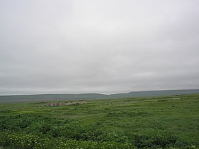 Остатки села Дорошенково