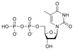 Estructura quimica de la desoxitimidina difosfat