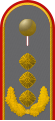 Dienstgradabzeichen eines Generalleutnants auf dem Schulterstück der Jacke des Dienstanzuges für Heeresuniformträger