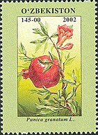 Узбекская марка 2002 года