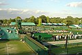 Wimbledonin tenniskenttiä