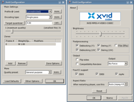 Скриншот программы Xvid