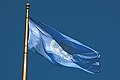 Image 18The Flag of the United Nations flying at United Nations Plaza in the Civic Center, San Francisco, California. The UN is one of the key organizations in the process of the political globalization. (from Political globalization)