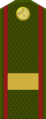 Сержанти калон Serƶanti kalon (Tajik Ground Forces)[29]