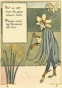 The flowers masquerade as people. Sir Jonquil begins the fun, illustration from A Floral Fantasy in an Old English Garden, 1899