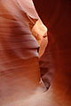 Image 31Sandstone, by Moondigger (from Wikipedia:Featured pictures/Sciences/Geology)