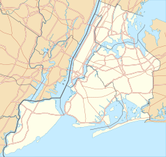 Mapa konturowa Nowego Jorku, w centrum znajduje się punkt z opisem „Brooklyn”