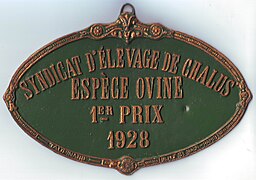 Concours d'élevage de 1928, espèce ovine, 1er prix.