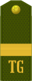 Uly seržant (Turkmen Ground Forces)[30]