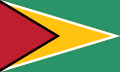 Bandiera della Guyana