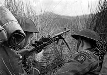 two men prone in long grass one armed with a Bren gun