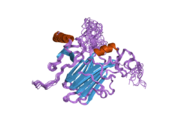 2fin: Solution Structure of the complex between poxvirus-encoded CC chemokine inhibitor vCCI and human MIP-1beta, ensemble structure